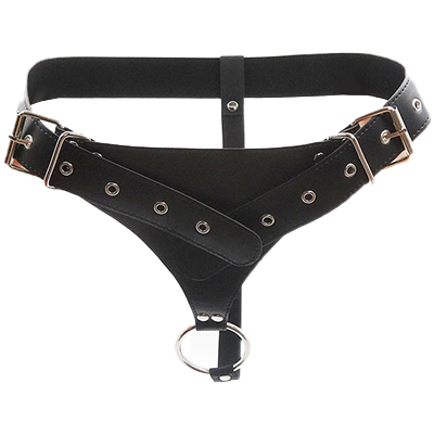 Image Of A Low Riding Strap-On