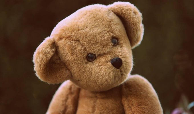 Close Up Photograph Of Teddy Bear With Quizzical Look On Its Face